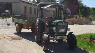 HELA D542